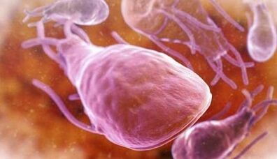 Zein dira pertsona baten gibelean parasitoak